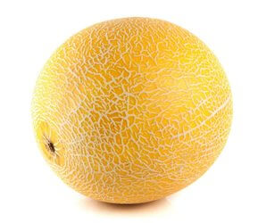 Melon