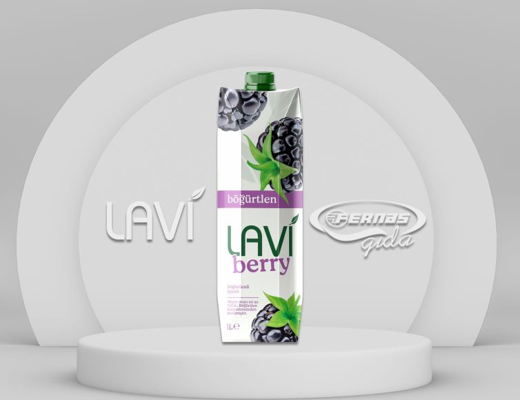 Lavi Berry Böğürtlen 1L Tetrapak